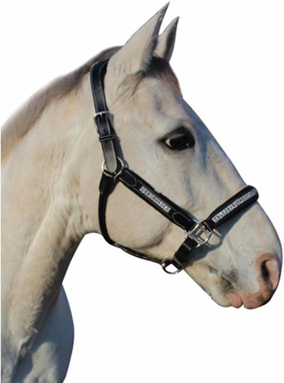 Henri de Rivel Replacement Throat Latch for Mono Crown Bridles