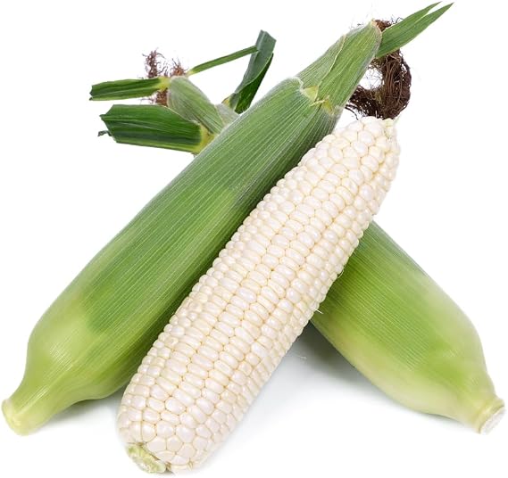 Brownie Brand Trucker's Favorite White Sweet Corn Seeds Non-GMO, Sweet & Tender Kernels, Fast-Growing, High Germination Rate, Perfect for Home Gardens, Delicious Fresh Corn for Summer. (1 Ounce)