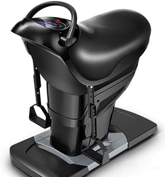 TWW Electric Horse Riding Machine Home Fitness Equipment Fat Burning and Shaping Horse Riding Aerobic Weight Loss Artifact,Black