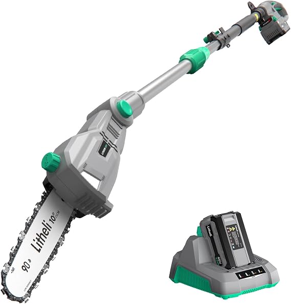 Litheli 10-Inch Pole Saw, 16ft/s Chain Speed Cordless Chainsaw for Tree Trimming, 8.3lbs Lightweight