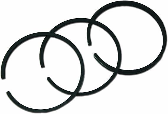 Briggs & Stratton 495854 Standard Piston Ring Set