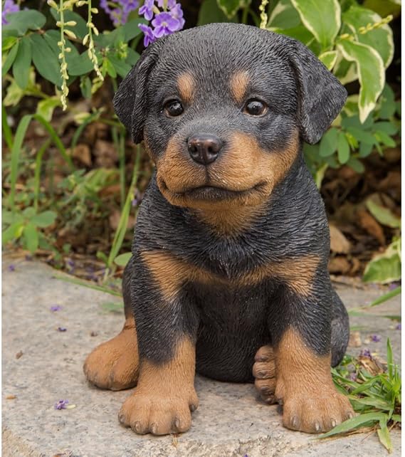Hi-Line Gift Ltd Sitting Rottweiler Puppy, 6.5"