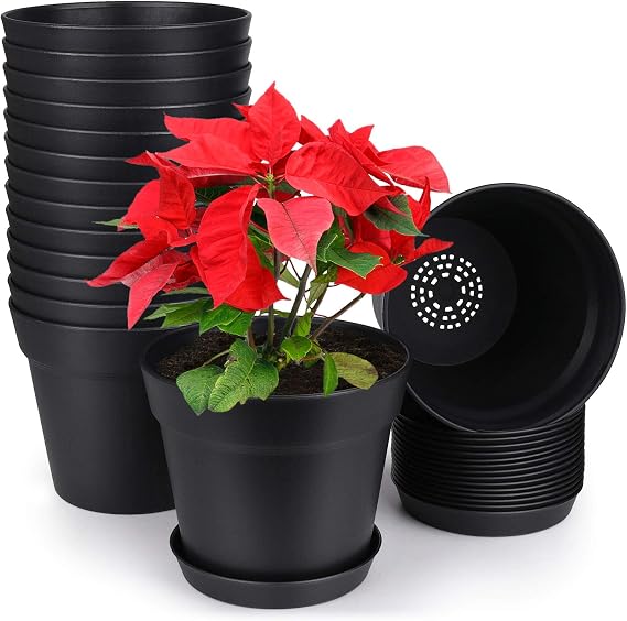 homenote 6 Inch Plastic Plant Pots with Drainage Holes and Saucers (15 Pcs)