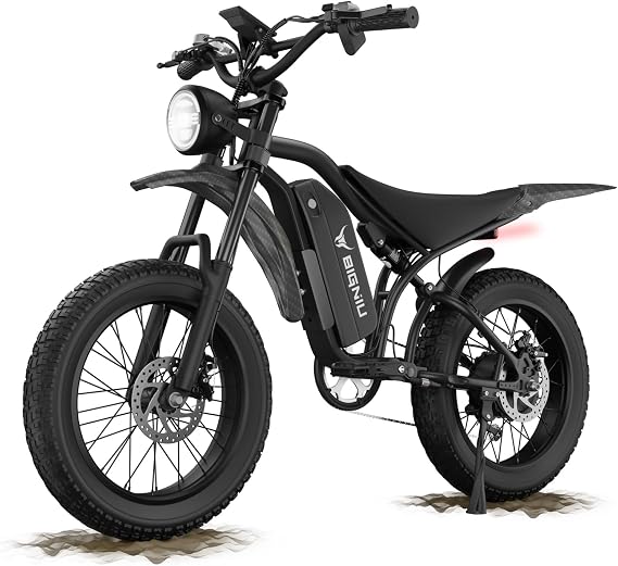 BIGNIU Electric Bike, Ebikes for Adults with Peak 1200W Motor, 20" Fat Tire, 48V 15A Battery, 7-Speed, Dual Disc Brakes E Bike for Off-Road and City Riding Electric Dirt Bike for Adults