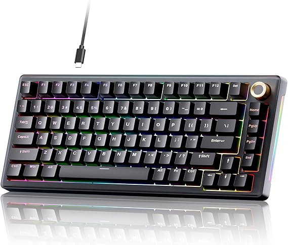 TMKB T81E Gasket Assembly Mechanical Gaming Keyboard Hot-Swap Wired Keyboard 82 Keys with RGB Lighting 75% US QWERTY Layout Pre-Lubricated Linear Switches - Black