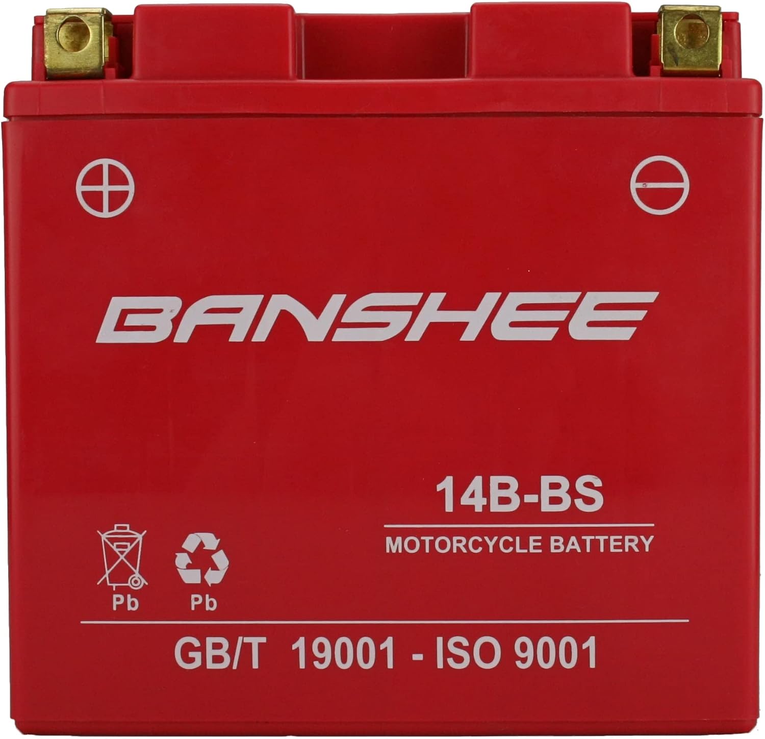 YT14B-BS Power Sports Battery Replaces CYT14B-BS GT14B-4 M624B4 BT14B-4