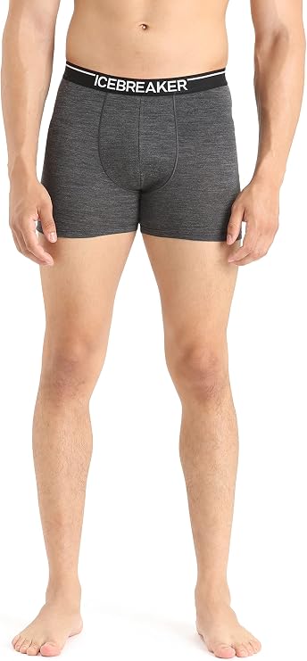 icebreaker mens Merino 150 Anatomica Boxers