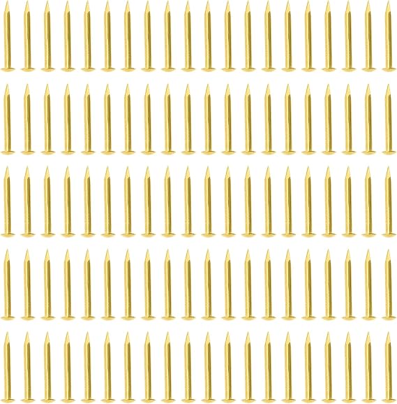 100 Pcs Tiny Brass Nails, Decorative Wooden Nails for DIY Craft Projects(2x20mm)