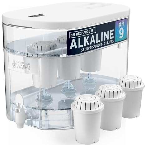 Invigorated Water Alkaline Water Filter Dispenser, 53-Cup Large Capacity