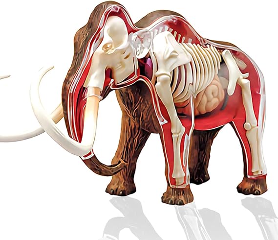 4D Master Mammoth Model Assembled Animal Figure Detachable Education Gift