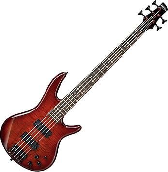 Ibanez GSR205SMCNB - Spalted Maple Top Charcoal Brown Burst
