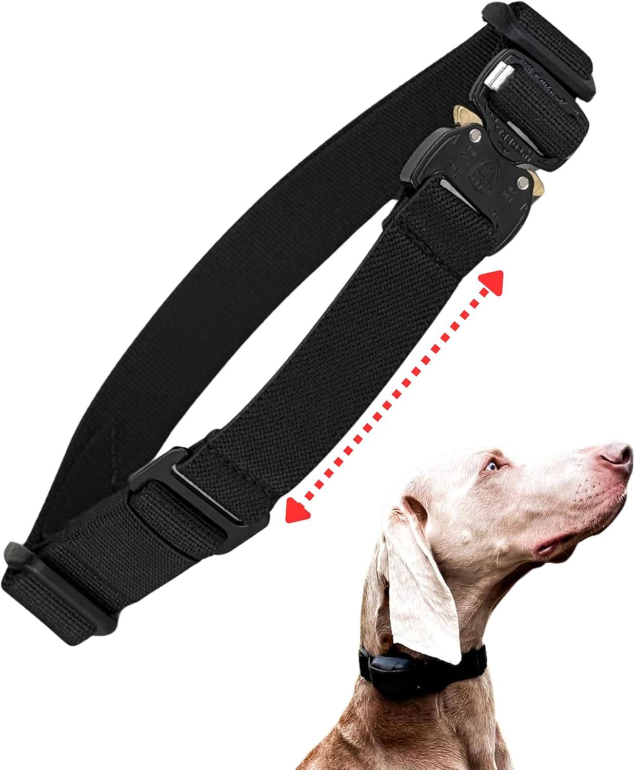 Bungee E-Collar Replacement Strap - Fits Dogtra, Garmin, SportDOG, Educator - Multiple Colours & Sizes (Black, Large: neck 41+ cm/ 17”+)