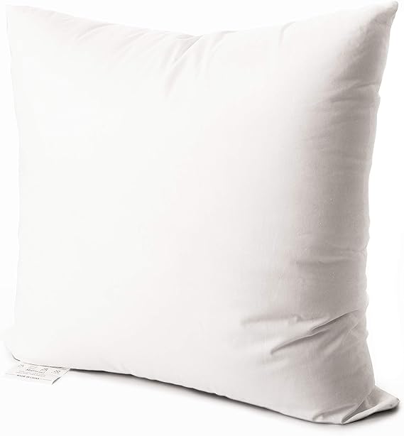 EDOW Throw Pillow Insert, Soft Fluffy Down Alternative Polyester Square Form Decorative Pillow Insert,Sham Stuffer,Cotton Cover for Sofa, Couch,Bed and Car. (White, 20x20)