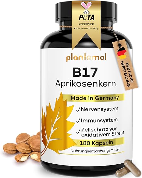 Aprikosenkerne Kapseln mit natürlichem B17 - 1100mg Aprikosenkern-Extrakt Naturally unstandardised vitamin B17 + natural vitamin C from rose hip + piperine - 3 month supply