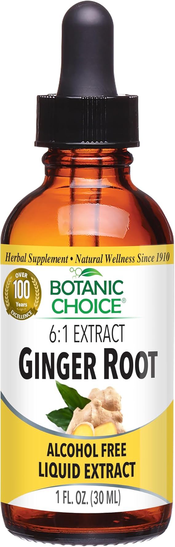 Botanic Choice Ginger Root Liquid Extract Alcohol Free 1 fl oz | Traditional stomach soother in an absorbable extract. Perfect after meals. Non-GMO, gluten free, vegan.