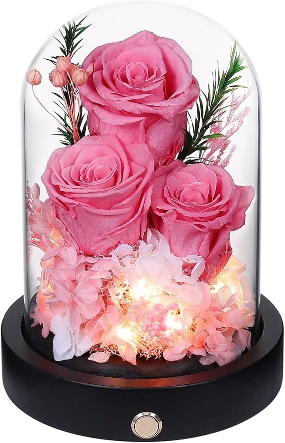 Forever Flowers Gifts for Women,Preserved Roses in Glass Dome, Eternal Flowers for Delivery Prime, Real Pink Roses,Anniversary Birthday Valentines Day Gifts for Wife Her