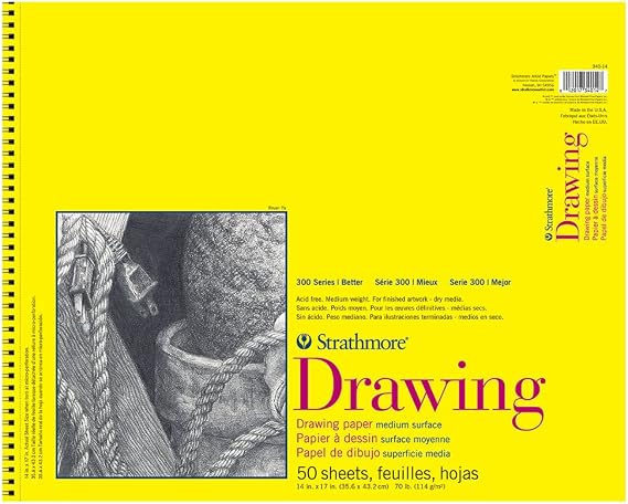 Strathmore 300 Series Drawing Paper Pad, Top Wire Bound, 14x17 inches, 25 Sheets (70lb/114g) - Artist Paper for Adults and Students - Charcoal, Colored Pencil, Ink, Pastel, Marker