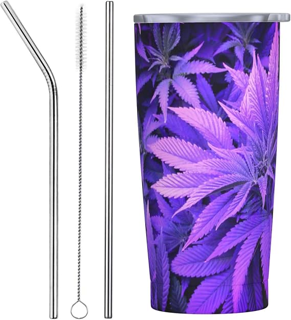 Purpleleaf Simple Modern Insulated Travel Mug with Lid and Straw Reusable Stainless Steel Iced Coffee Cup Straw Three-piece Set
