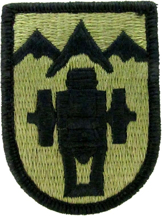 Military Uniform Supply 169th Field Artillery Brigade OCP Patch - Scorpion W2