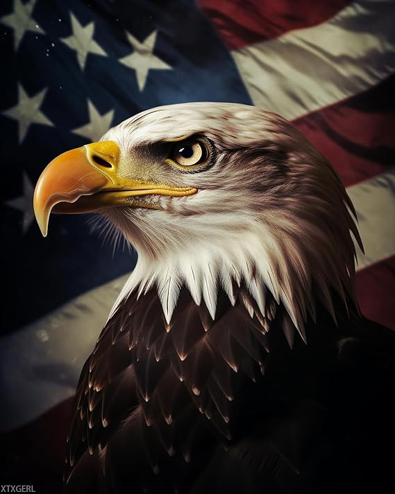 XTXGERL Paint by Numbers Eagle for Adults, Acrylic Oil Painting by Numbers Kits for Beginner with Paintbrushes Brushes Art Crafts Canvas for Home Decor 16x20 inch / 40x50 cm