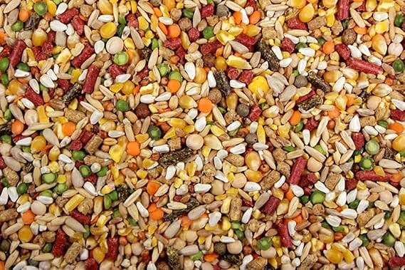Chicken Feed, Whole Ingredient Chicken Treat, Wied Variety of Grains Poultry Feed (20 Pound (Pack of 1), High-Octain (High Protein) with Cracked Corn)