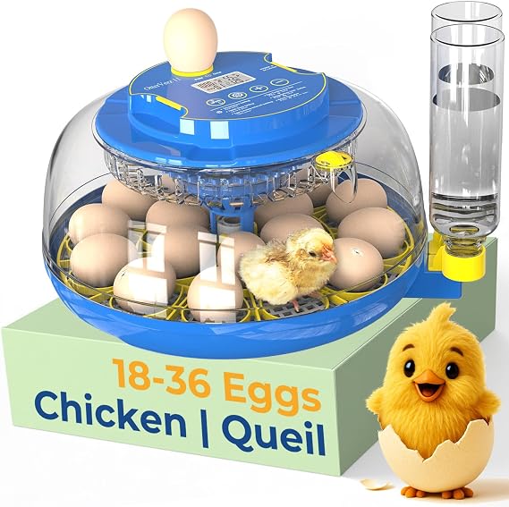 OtterVerz 11 Egg Incubators for Hatching 18-36 Chicken/Quail/Turkey Eggs, 360 View Poultry Incubator with Automatic Egg Turning and Humidity Control, Suitable for Farm, Classroom, Home