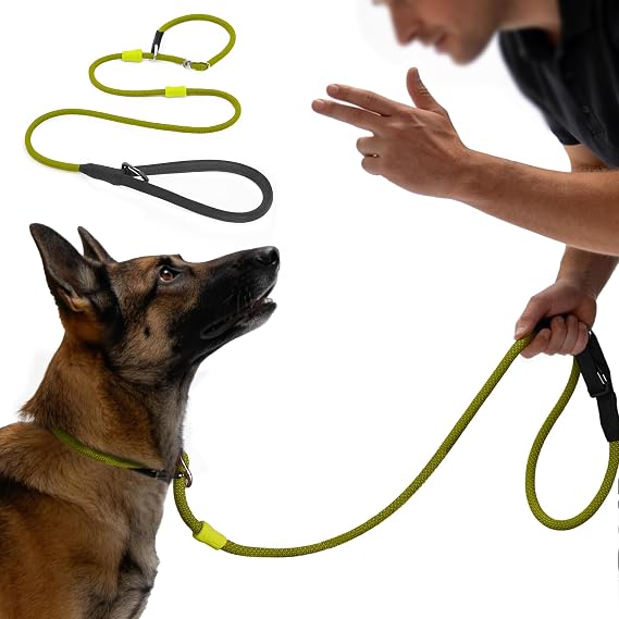 Slip Leads for Dogs 5FT x 3/8 in Leash, Professional Dog Training Leash, 2-in-1 Dog Lead & Collar,Suitable for All Dogs(Black Green)
