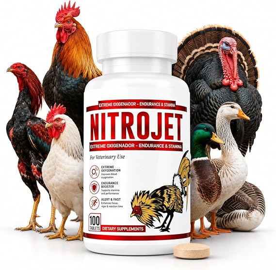OXIGENADOR para GALLOS NITROJET for Rooster Poultry Gamefowl para Gallos