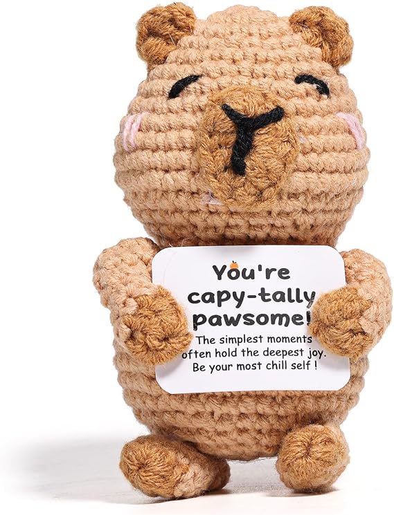 AICase Capy Gifts,Positive Crochet Animals,Easter Basket Essentials Stuffers Knitted Wool Capy Stuff Emotional Support Nuggets Cheer Handmade Birthday Gifts for Women Men_01