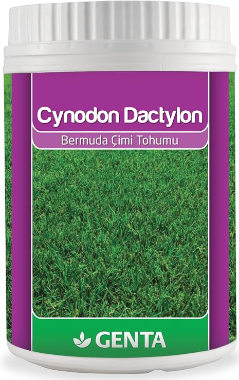 Genta Cynodon Dactylon Bermuda Çim Tohumu 500 Gr