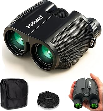10x25 High-Powered Compact Binoculars for Adults Long Range Bird Watching, Travel for Cruise Ship, Lightweight Small for Hiking, Sports & Outdoor Adventures