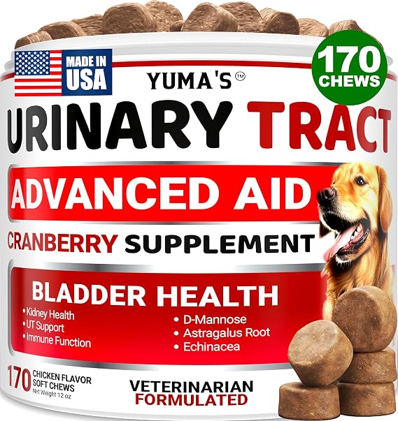 Cranberry Supplement for Dogs - 170 Chews - Dog UTI & Bladder Support | Urinary Tract Health, Vet-Formulated Multivitamin Chews with D-Mannose, Immune Support, Vitamins and Supplements, Made in USA