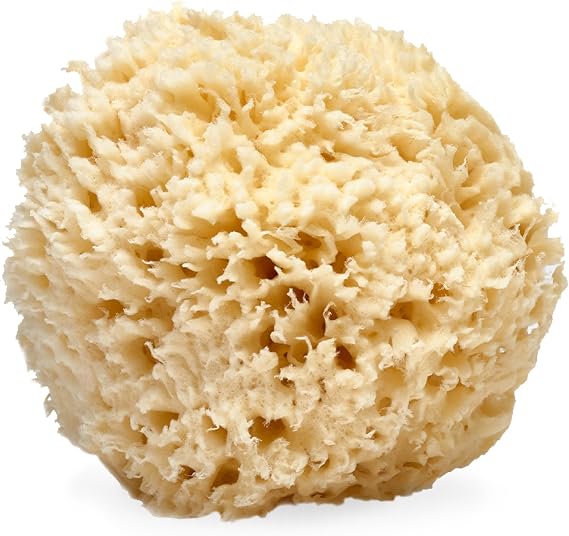 LATHER - Natural Sea Wool Sponge, 5-6 - Organic Exfoliating Body Scrubber - Soft, Gentle Cleansing - Hypoallergenic - All Skin Types - Florida Natural Loofah Sponge - Cruelty Free - Beauty & Skincare