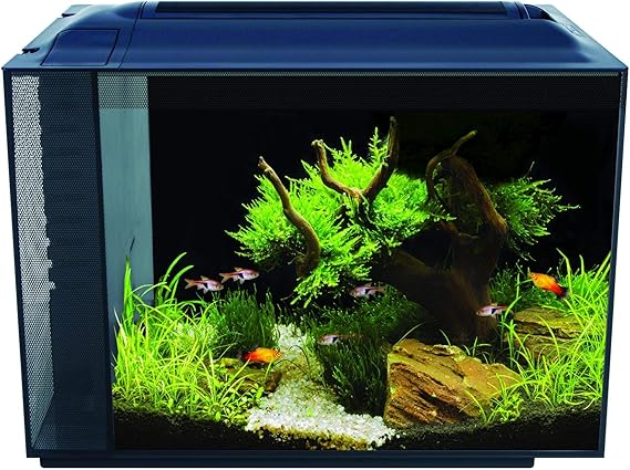 Fluval Spec V Aquarium Kit (16 gal.)