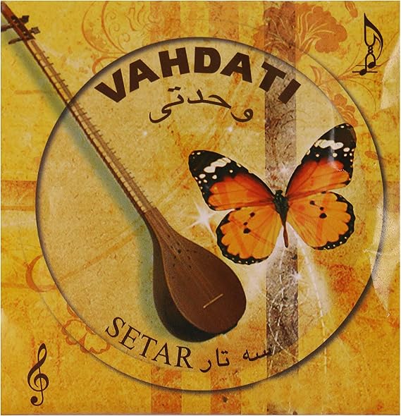 String of Persian Setar - one pack