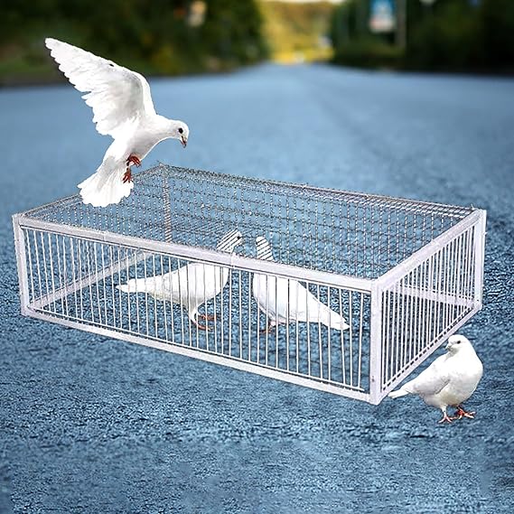Pigeon Trap Cage with 2 One-Way Entrances and Skylight, Suitable for Pigeons, Parrots, Crows, Birds, Easy Assembly and Cleaning (60x40x26cm, White)