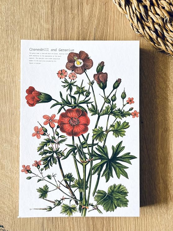 Difference Introduction Special Design A5 Striped Notebook with Printed Cover - 180 Degree Openable, Back Stitched, 100% Handcrafted, Ideal for Office, Planner (Cranesbill and Geranium Cover Design)