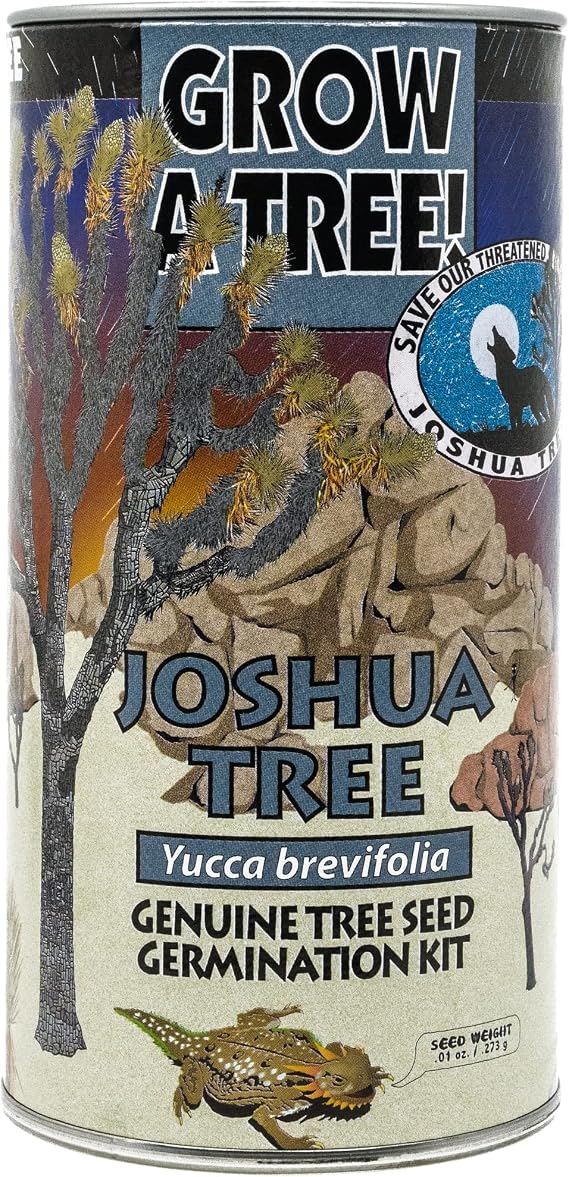Joshua Tree | Seed Grow Kit | The Jonsteen Company
